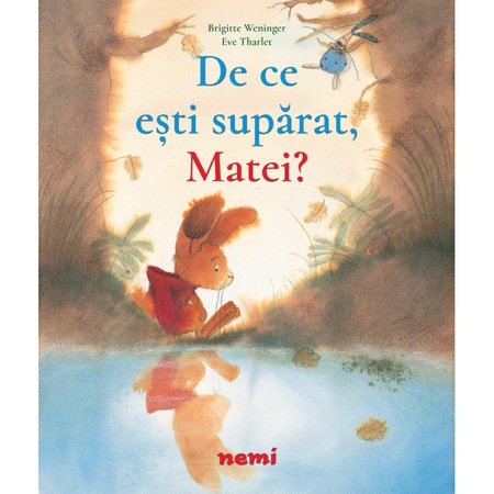 De Ce Esti Suparat Matei Brigitte Weninger Eve Tharlet Emag Ro