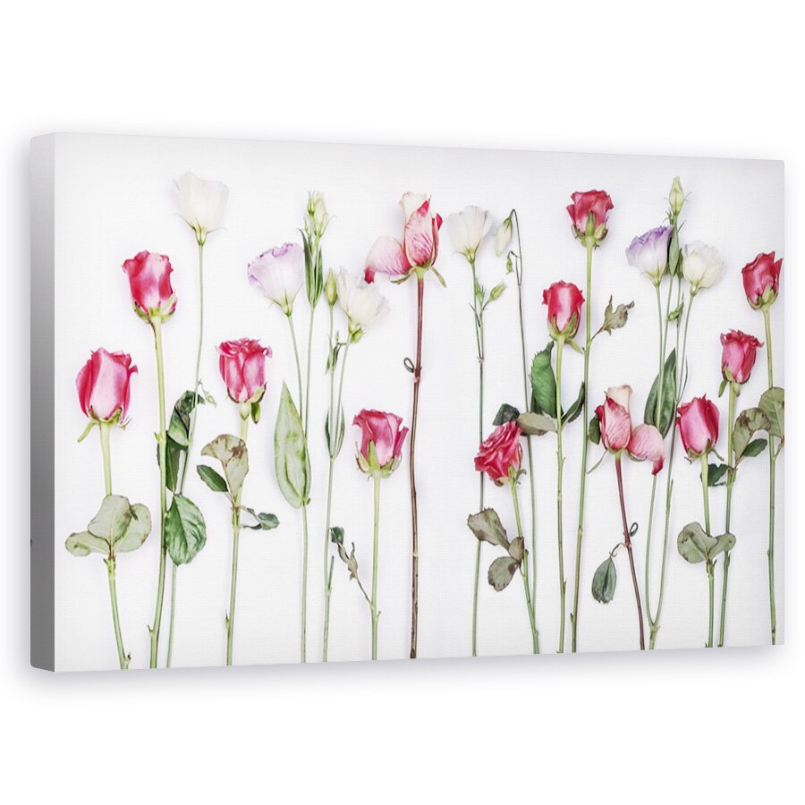 Tablou canvas - Flori, Trandafiri, Roz Rosiatic, Pictura, 50 x 80 cm