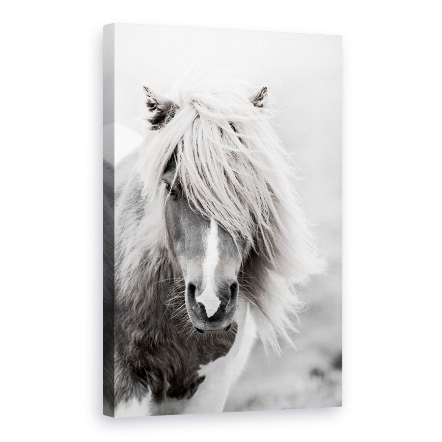 Tablou canvas - Animale, Cal, Natura, Alb-Negru, 40 x 60 cm