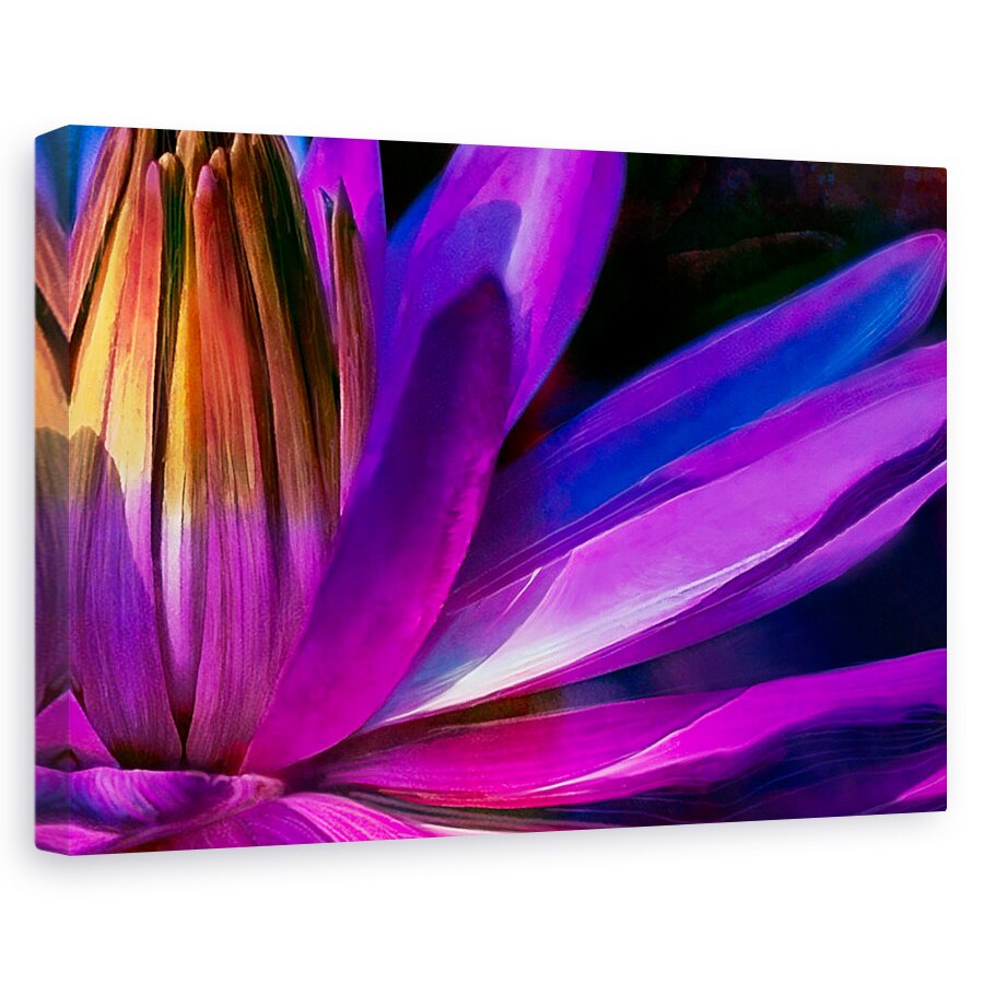 Tablou canvas - Natura, Flori, Petale Retro, Pictura Ii, 40 x 60 cm