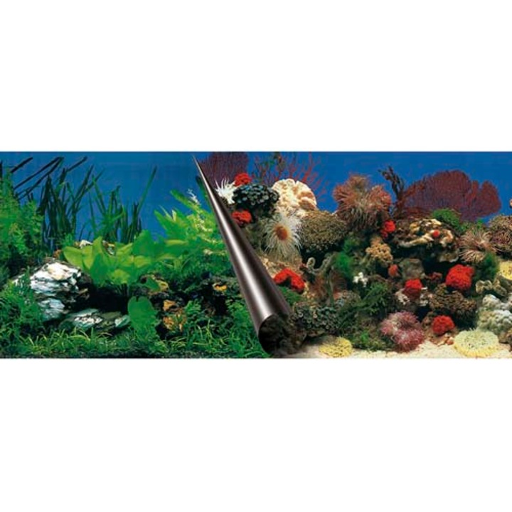 Ebi Photo Decor Stone + Coral 80 x 40cm
