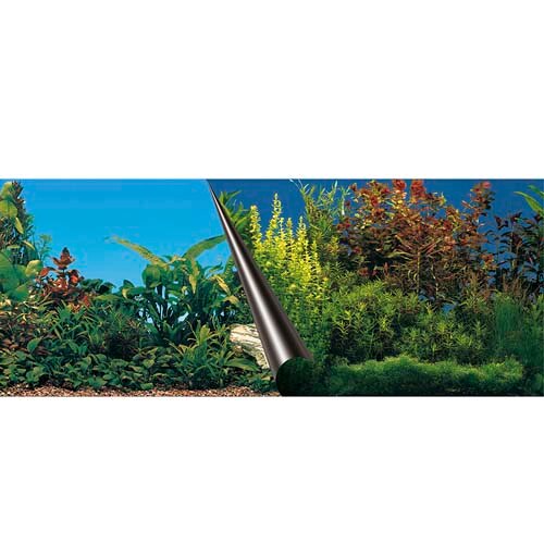 Folie decor acvariu, Ebi, Marea, 120 x 50 cm