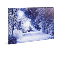 Tablou cu Iluminare LED, Peisaj de Iarna Alee Inzapezita, Baterii 2xAA, 38x48cm