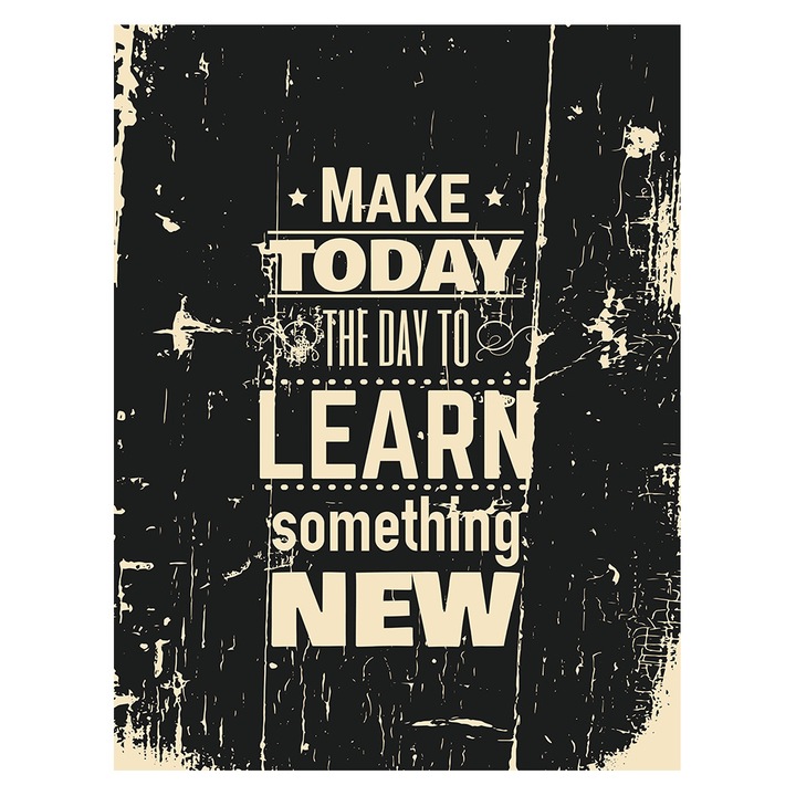 Tablou canvas Motivational Learn something new 70x100cm