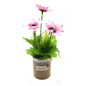 Aranjament floral in ghiveci canepa, 3 flori, D2838-1,Roz Aranjament floral in ghiveci canepa, 3 flori, D2838-1,Roz