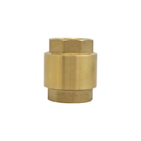 supapa de retinere cu arc din pvc 2quot din alama imagen 20_0_
0