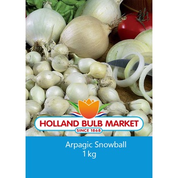 Bulbi arpagic Snowball, 1 kg Bulbi arpagic Snowball, 1 kg