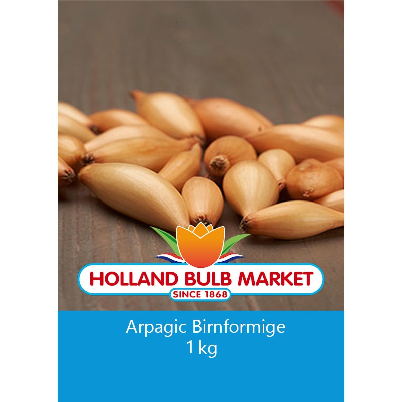 Bulbi arpagic Birnformige, 1 kg