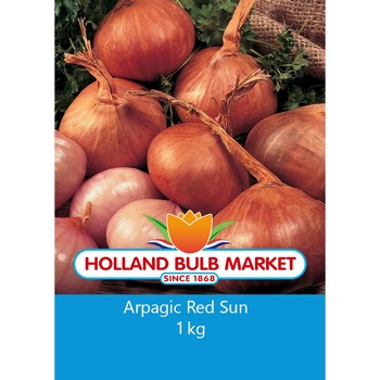 Bulbi ceapa esalota Red Sun, 1 kg Bulbi ceapa esalota Red Sun, 1 kg