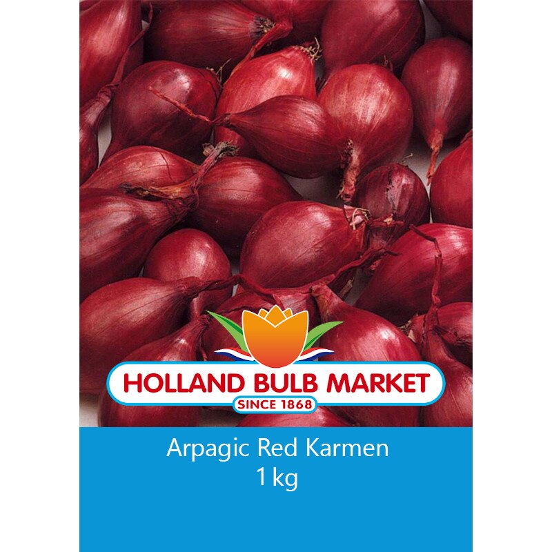 Bulbi arpagic Red Karmen, 1 kg