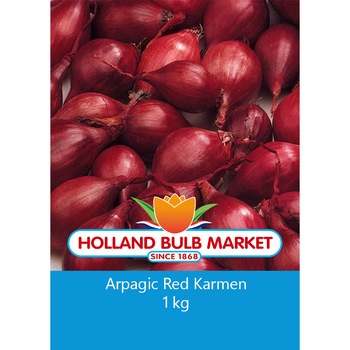 Bulbi arpagic Red Karmen, 1 kg Bulbi arpagic Red Karmen, 1 kg