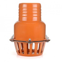 filtru de aspiratie cu o supapa pentru pompa de 4 inci - 100 mm b-wass4100 imagen 60_2_
0