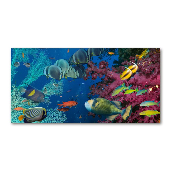 Pictura pe panza, Dimensiune: 140 cm x 70 cm, Decorarea peretilor - recif de corali