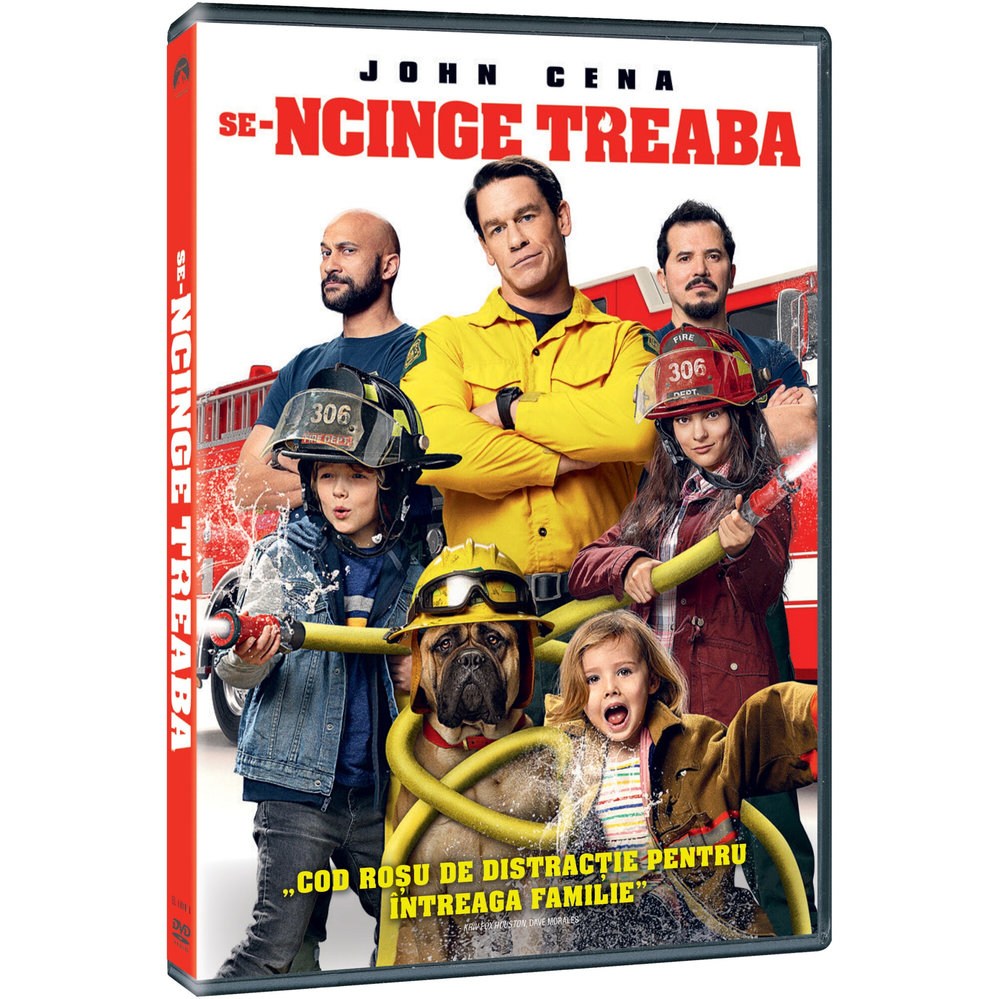 Se-ncinge Treaba! [Playing With Fire], DVD, 2020