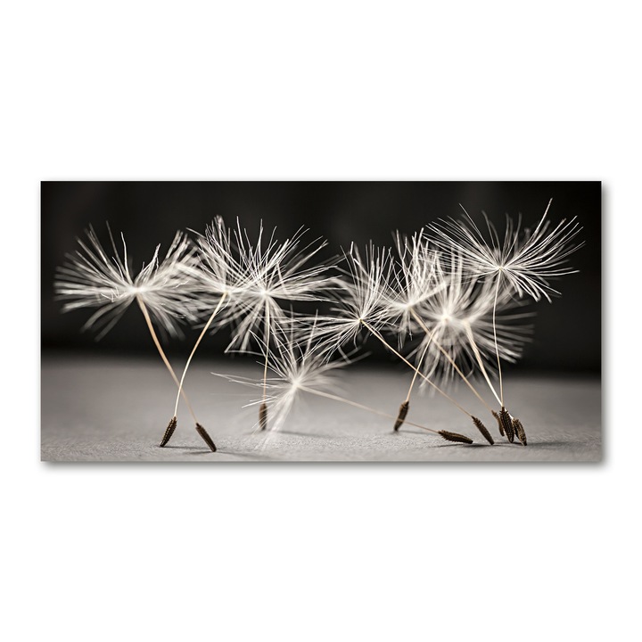 Pictura pe panza, Dimensiune: 140 cm x 70 cm, Decorarea peretilor - Seminte de papadie