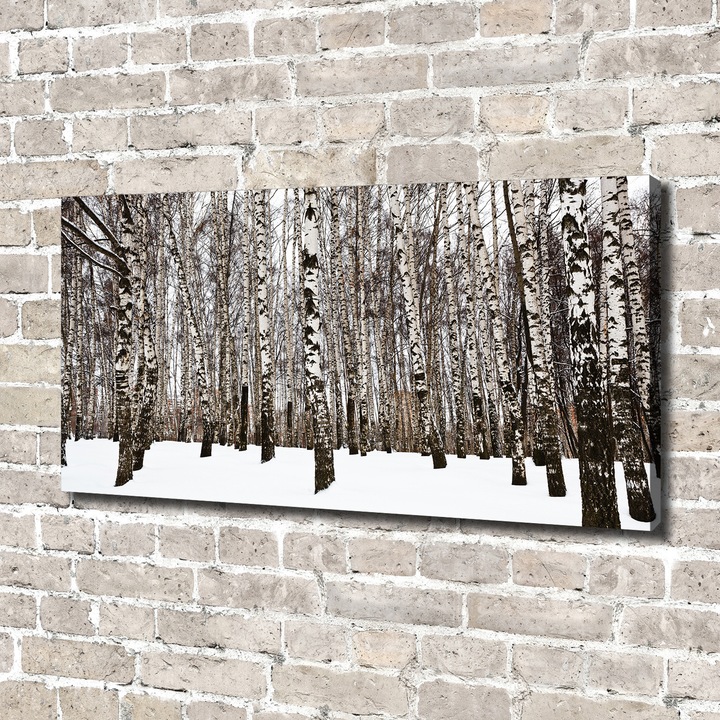 Pictura pe panza, Dimensiune: 140 cm x 70 cm, Decorarea peretilor - Mesteacan de iarna