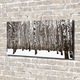 Pictura pe panza, Dimensiune: 140 cm x 70 cm, Decorarea peretilor - Mesteacan de iarna