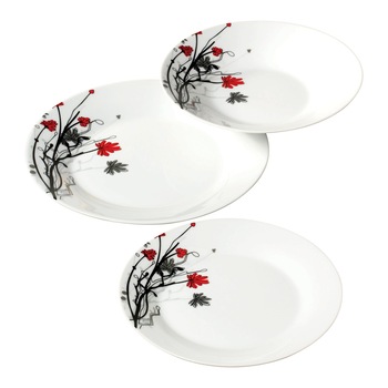 Set farfurii AIX© din portelan, culoarea alba, cu model floral in culorile rosu, gri si negru Set farfurii AIX© din portelan, culoarea alba, cu model floral in culorile rosu, gri si negru