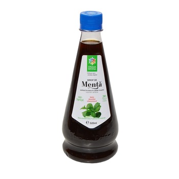 Sirop de menta, 520ml Sirop de menta, 520ml