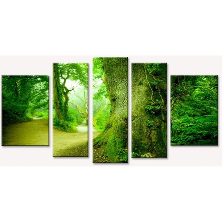 Комплект за рисуване DualView Startonight In the Forest, 5 части, светещи в тъмното, 90 x 180 cm (1 брой 30 x 90 cm, 2 части 30 x 80 cm, 2 части 40 x 60 cm)