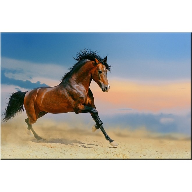 Tablou DualView Startonight Cal in desert, luminos in intuneric, 20 x 30 cm