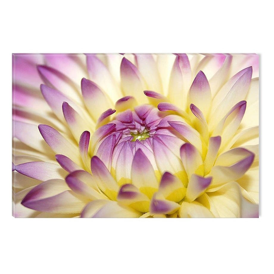 Tablou DualView Startonight Floarea se deschide, luminos in intuneric, 60 x 90 cm