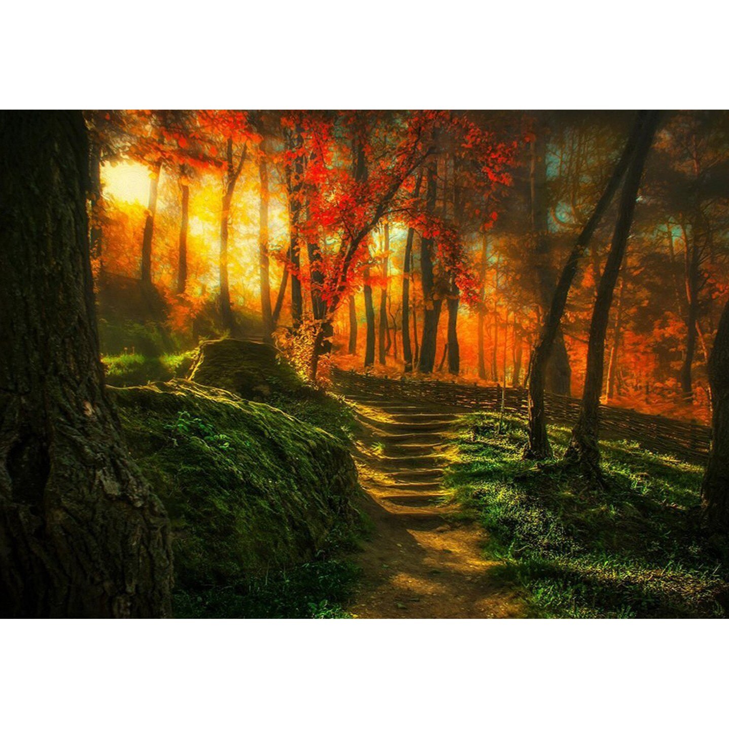 Fototapet Startonight Stiri din gradina, luminos in intuneric, 1.83 x 1.28 m