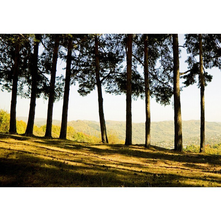 Fototapet Startonight Atmosfera calda, luminos in intuneric, 3.66 x 2.56 m