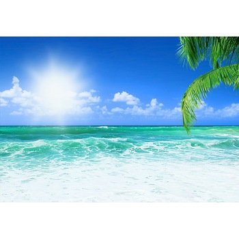 Fototapet Startonight Dimineata pe plaja, luminos in intuneric, 3.66 x 2.56 m Fototapet Startonight Dimineata pe plaja, luminos in intuneric, 3.66 x 2.56 m