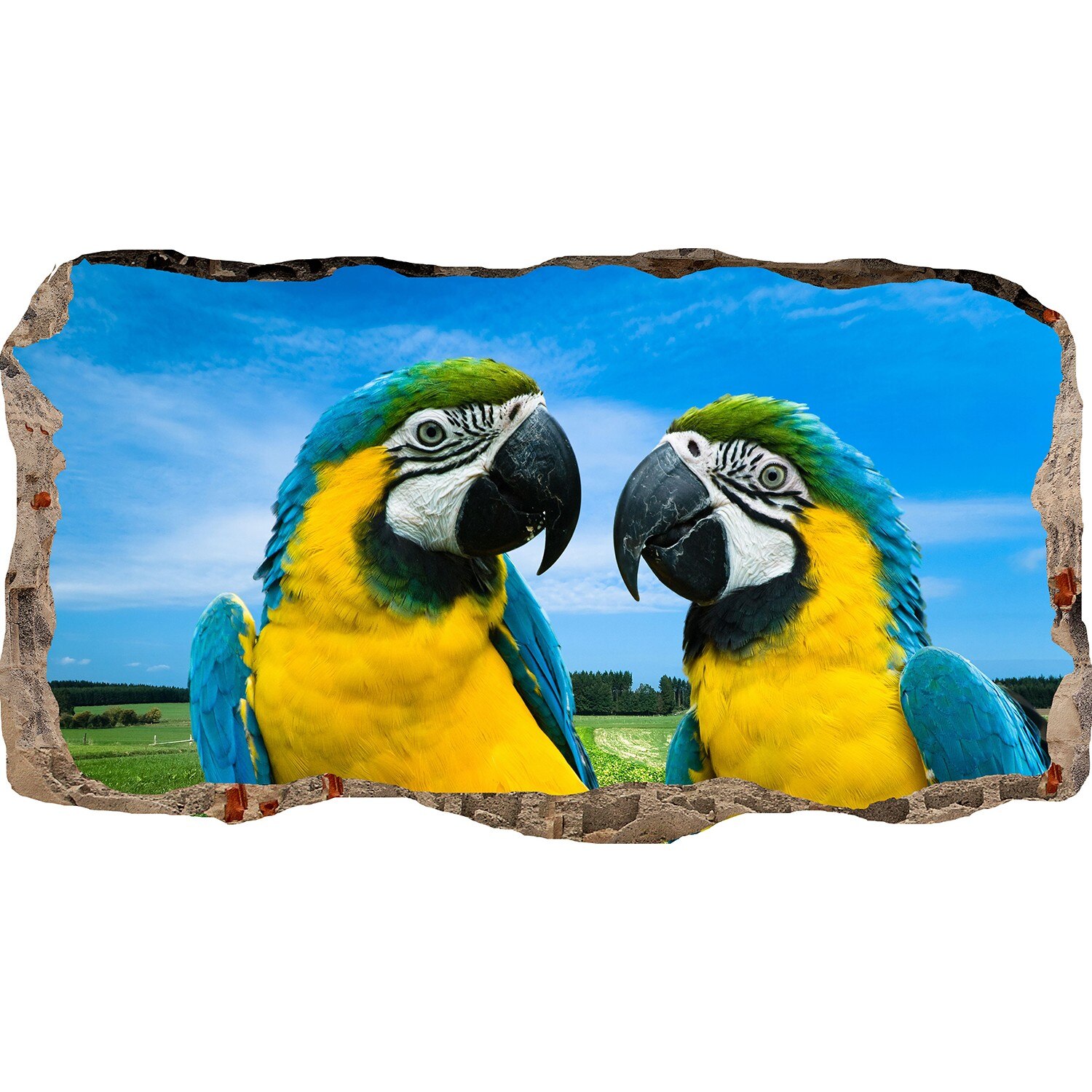 Fototapet 3D Startonight Dragoste, luminos in intuneric, 2.20 x 1.20 m