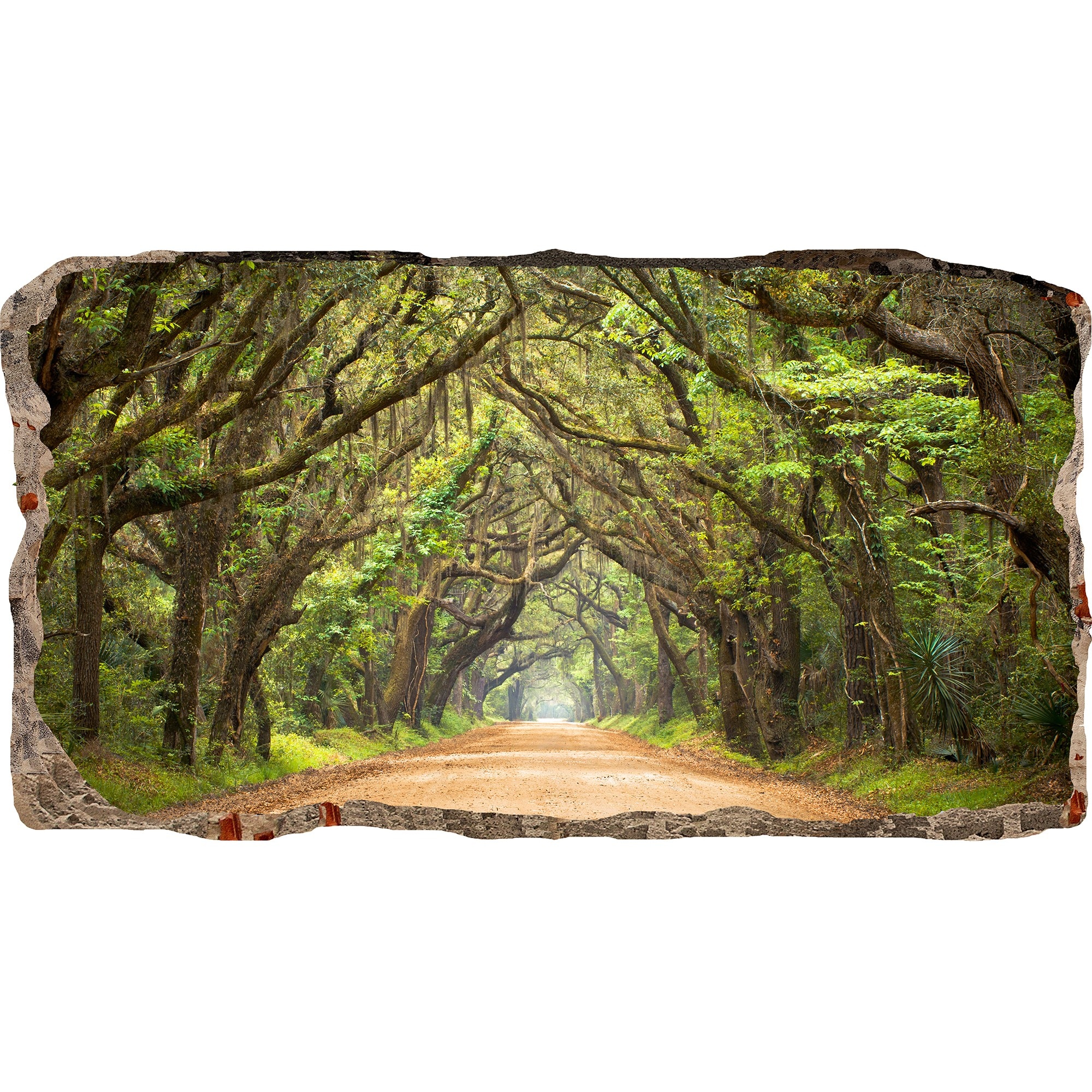 Fototapet 3D Startonight Tunel de copaci, luminos in intuneric, 1.50 x 0.82 m