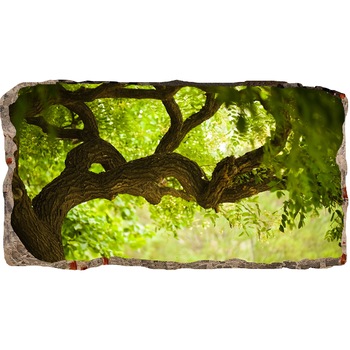 Fototapet 3D Startonight Copac verde, luminos in intuneric, 1.50 x 0.82 m Fototapet 3D Startonight Copac verde, luminos in intuneric, 1.50 x 0.82 m