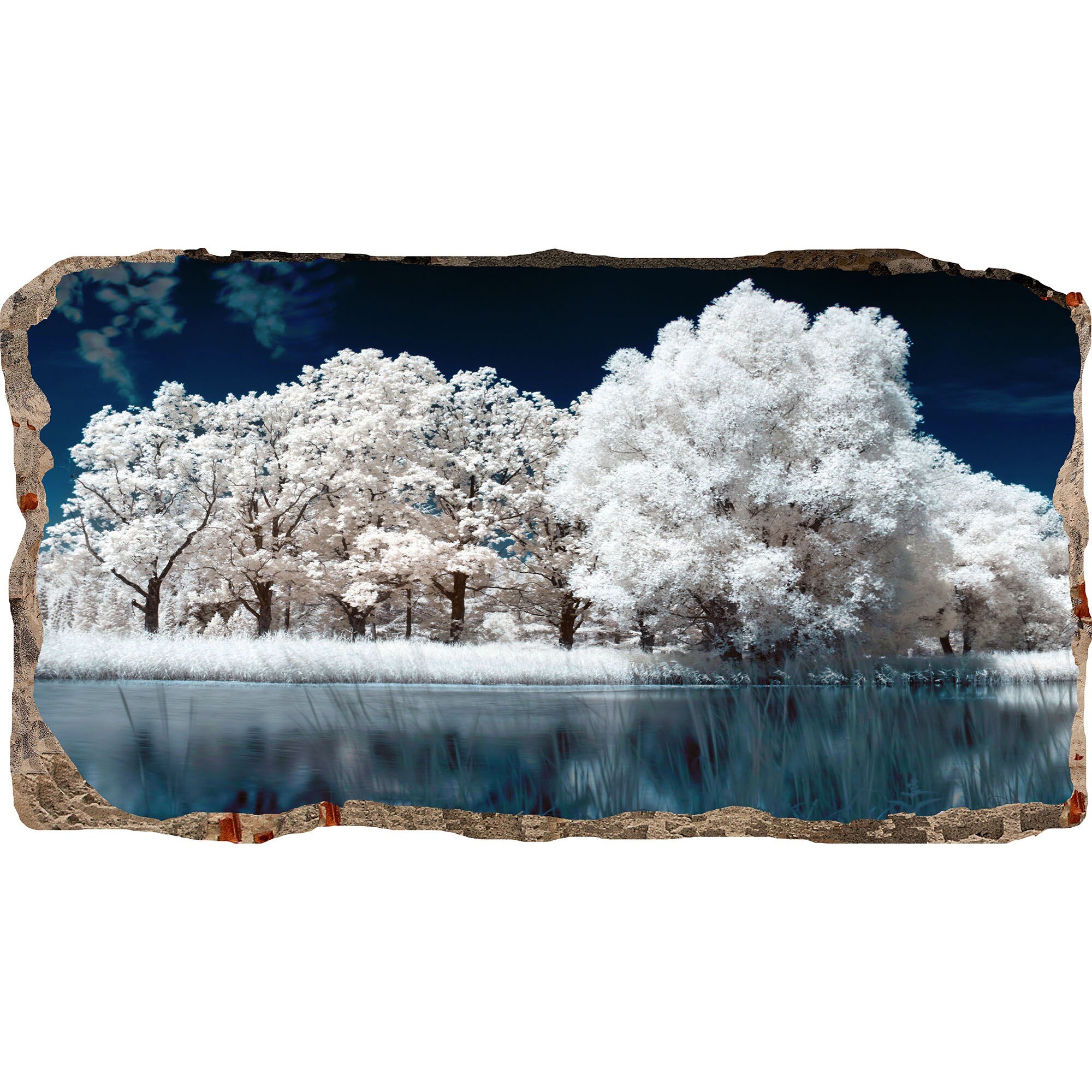 Fototapet 3D Startonight Copaci inghetati, luminos in intuneric, 1.50 x 0.82 m