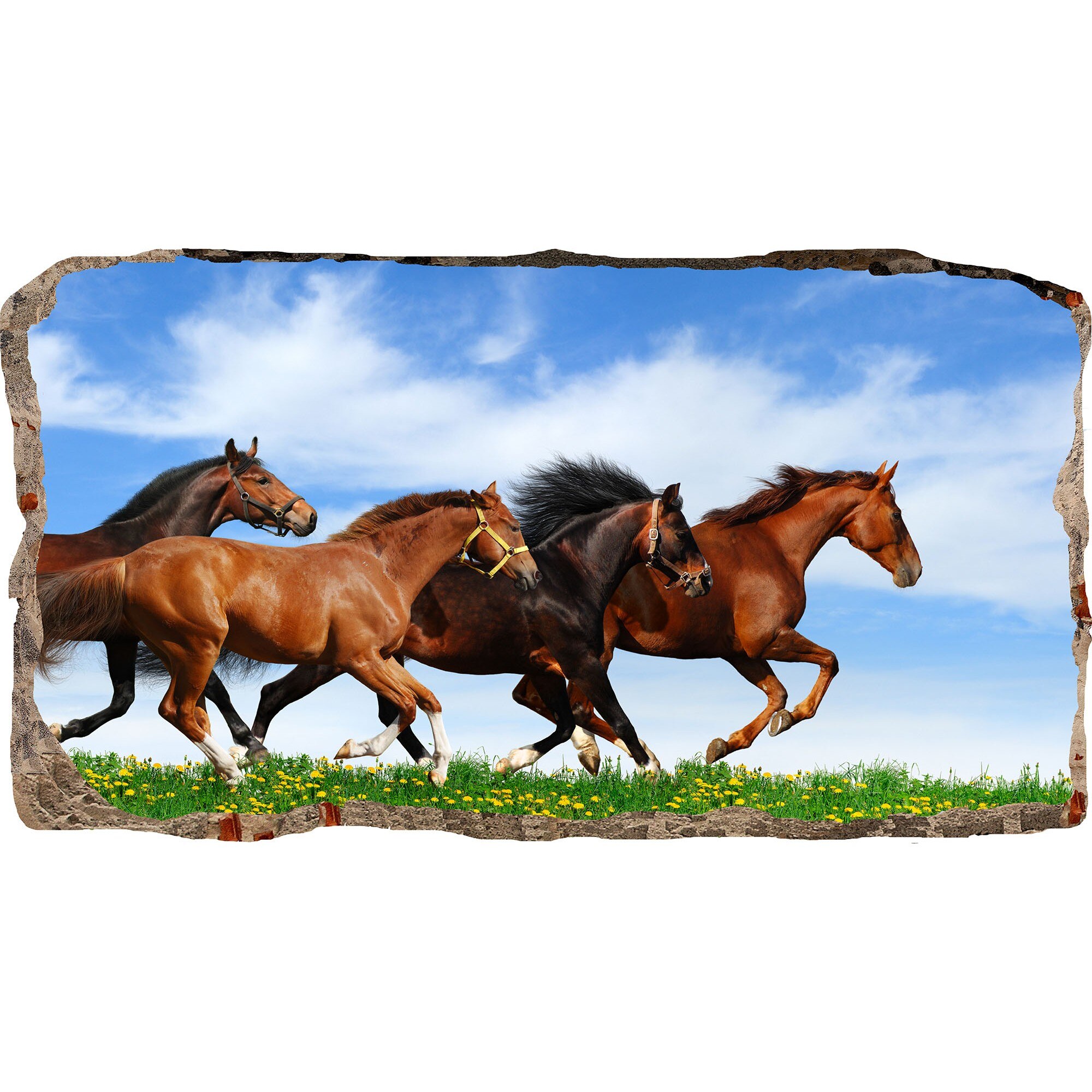 Fototapet 3D Startonight Cai in galop, luminos in intuneric, 1.50 x 0.82 m