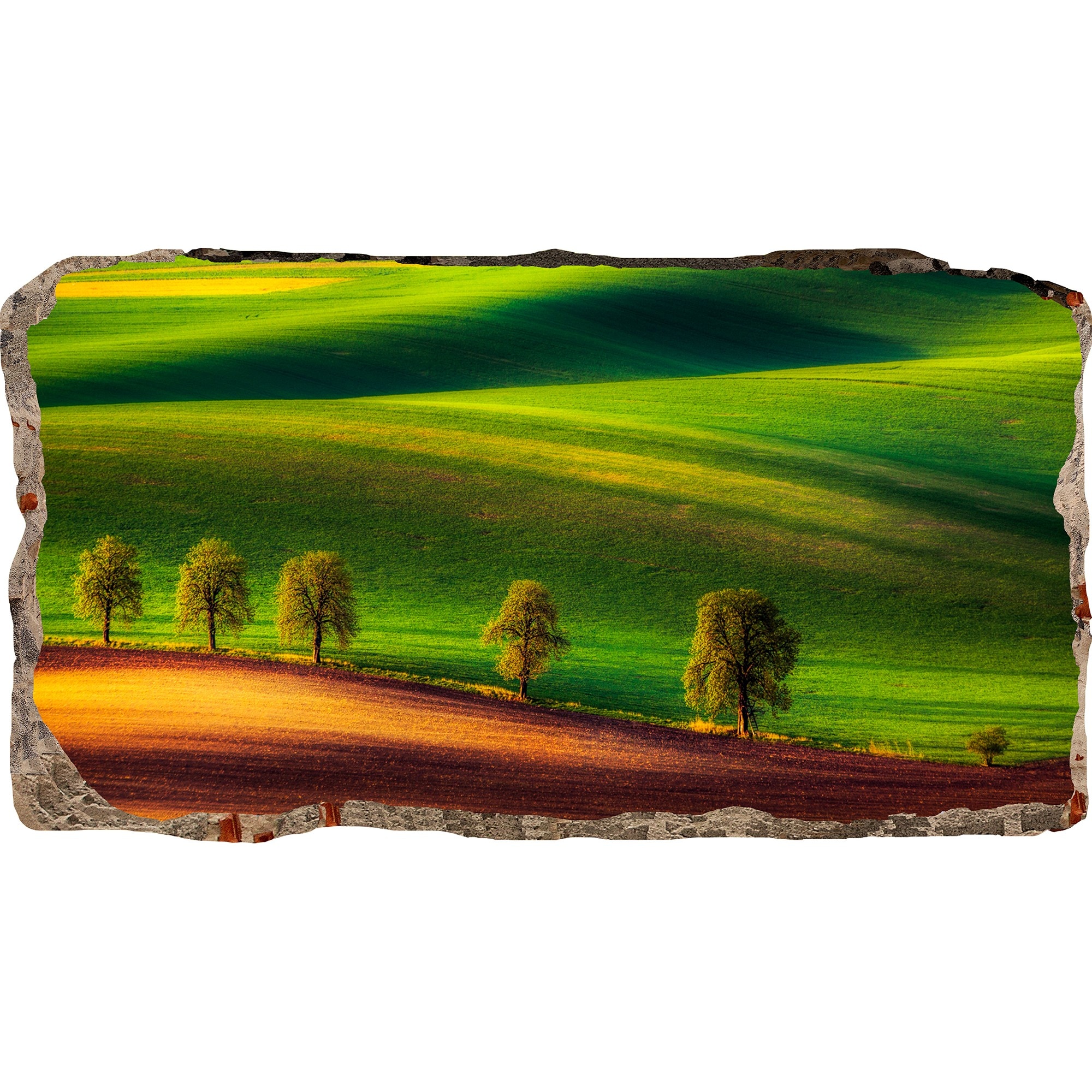 Fototapet 3D Startonight Peisaj verde, luminos in intuneric, 1.50 x 0.82 m