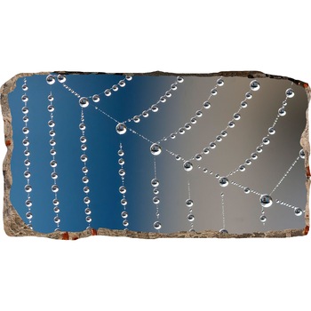 Fototapet 3D Startonight Panza de paianjen, luminos in intuneric, 1.50 x 0.82 m Fototapet 3D Startonight Panza de paianjen, luminos in intuneric, 1.50 x 0.82 m