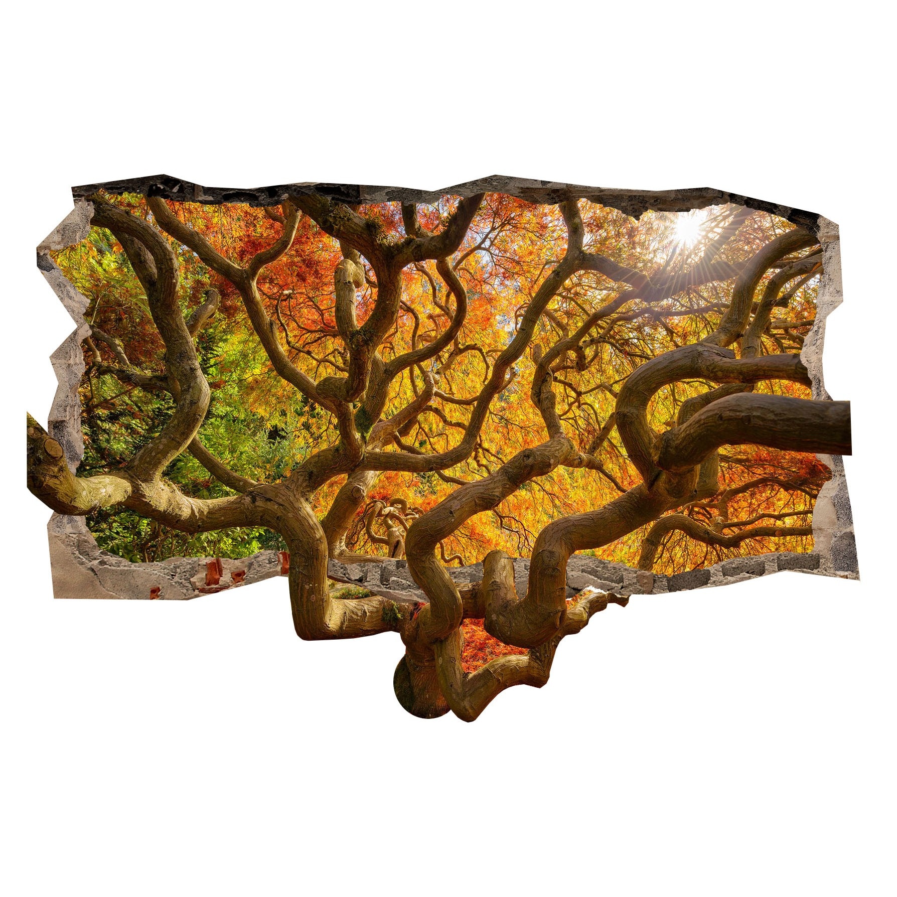 Fototapet 3D Startonight Copac ciudat, luminos in intuneric, 1.50 x 0.82 m