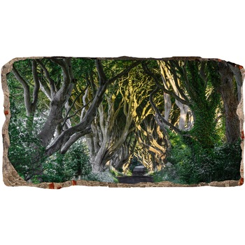 Fototapet 3D Startonight Drum printre copaci, luminos in intuneric, 1.50 x 0.82 m Fototapet 3D Startonight Drum printre copaci, luminos in intuneric, 1.50 x 0.82 m