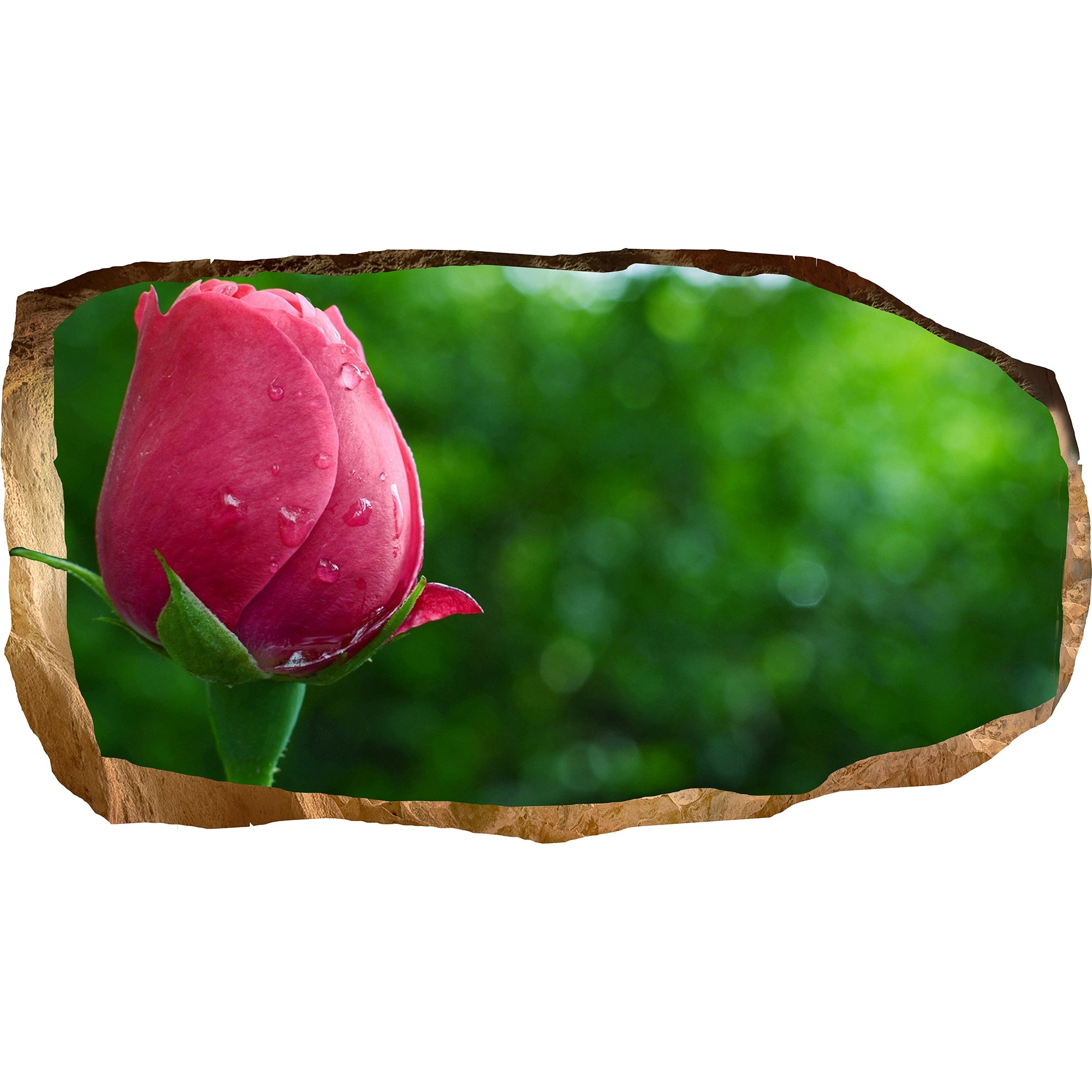 Fototapet 3D Startonight Trandafir, luminos in intuneric, 1.50 x 0.82 m