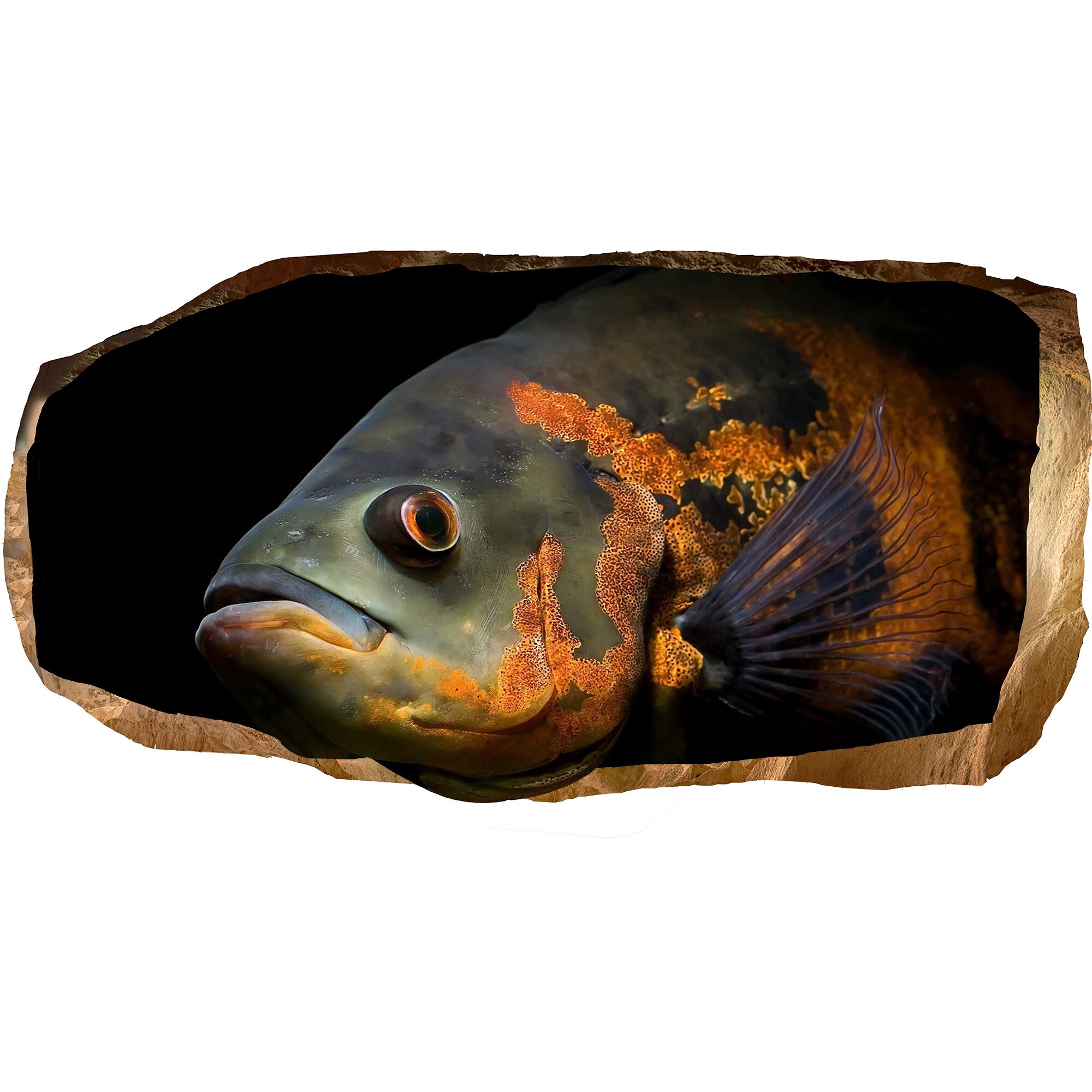 Fototapet 3D Startonight Pestele stie tot, luminos in intuneric, 2.20 x 1.20 m