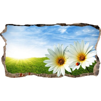 Fototapet 3D Startonight Margarete, luminos in intuneric, 1.50 x 0.82 m Fototapet 3D Startonight Margarete, luminos in intuneric, 1.50 x 0.82 m