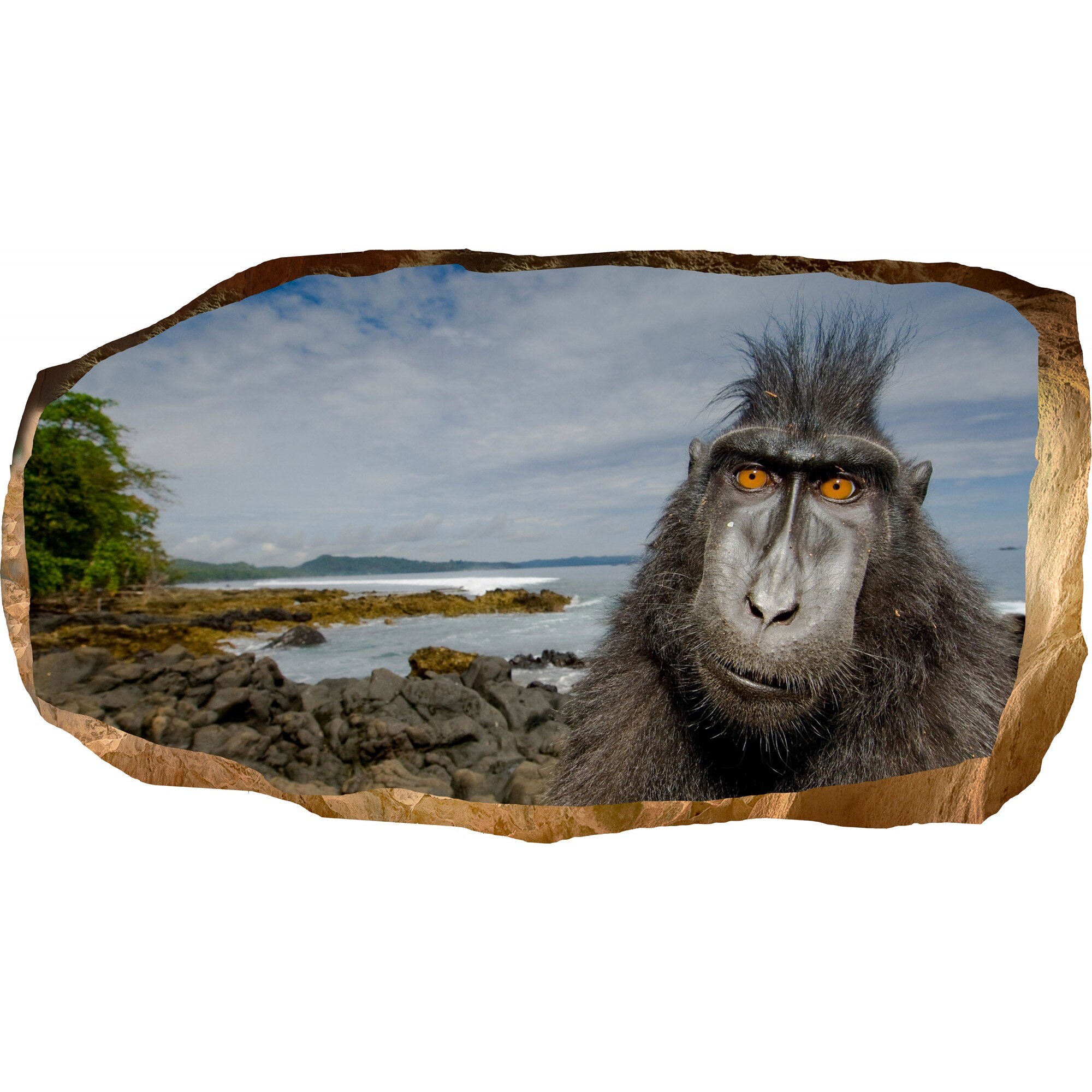 Fototapet 3D Startonight Maimuta, luminos in intuneric, 2.20 x 1.20 m