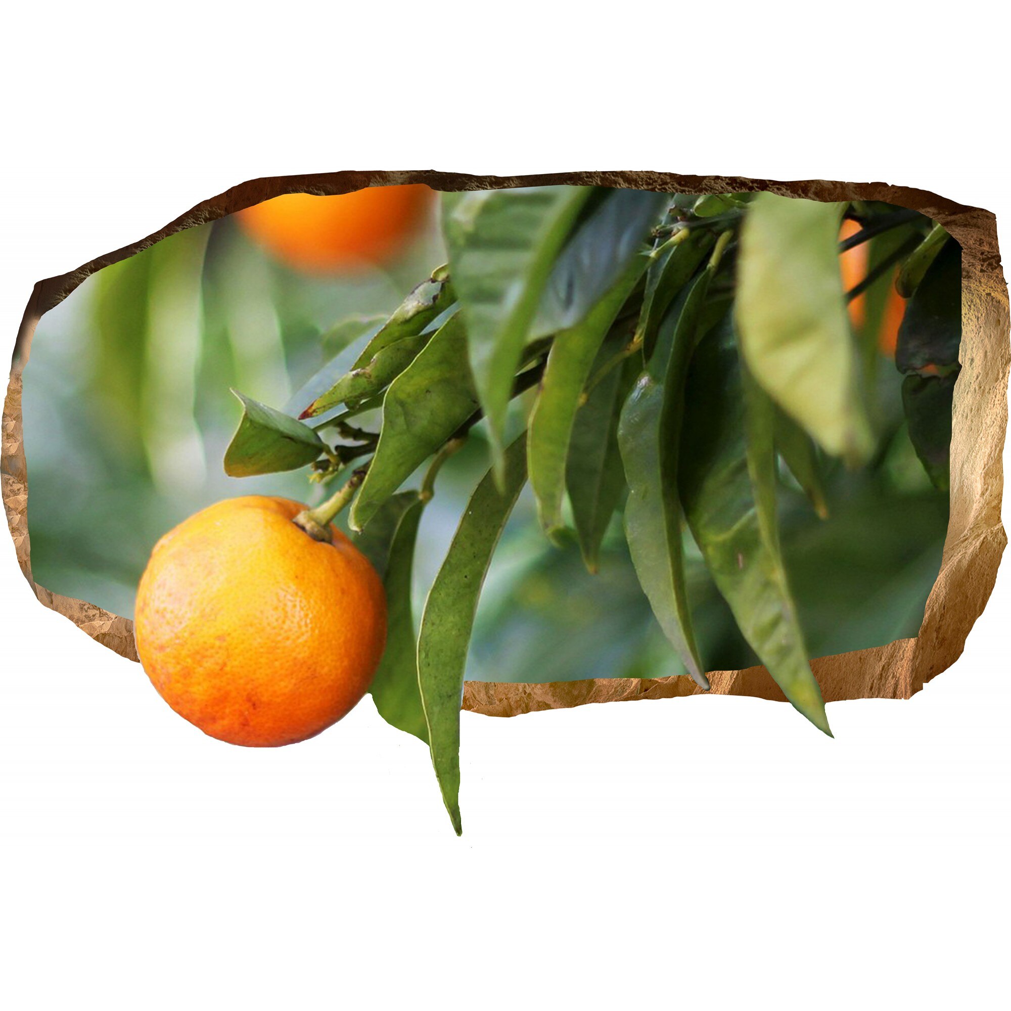 Fototapet 3D Startonight Portocal, luminos in intuneric, 2.20 x 1.20 m