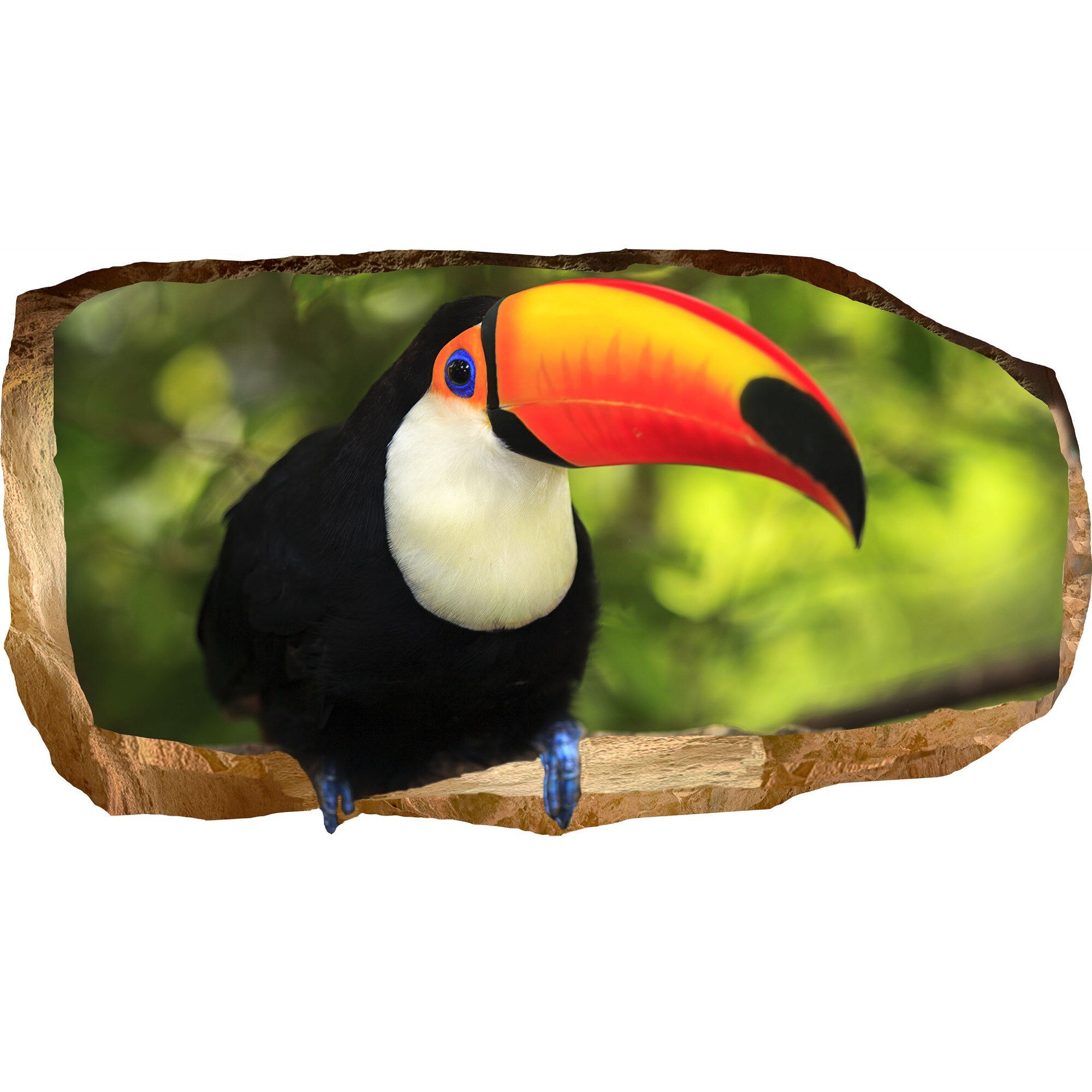 Fototapet 3D Startonight Tucan, luminos in intuneric, 2.20 x 1.20 m