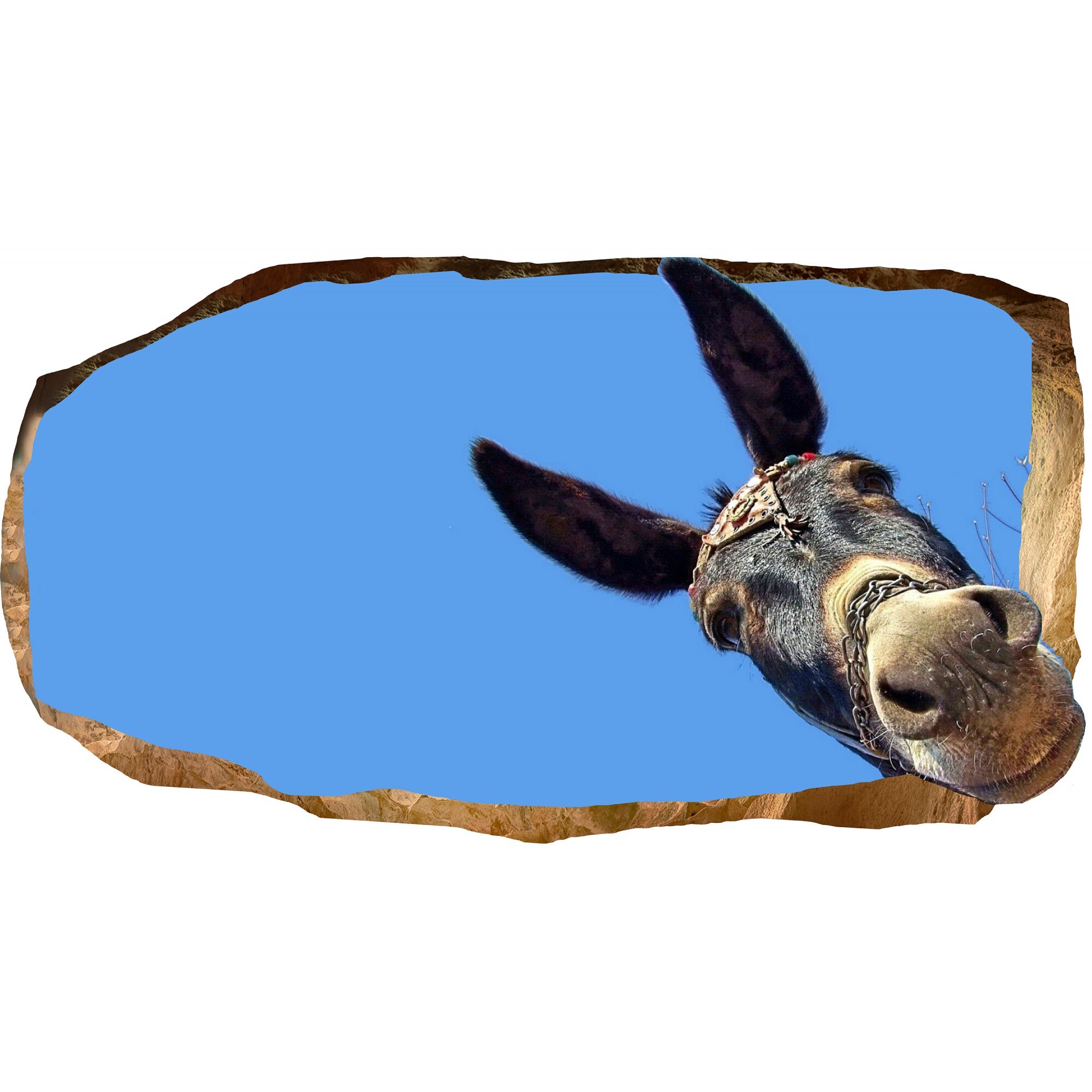 Fototapet 3D Startonight Un magar, luminos in intuneric, 2.20 x 1.20 m