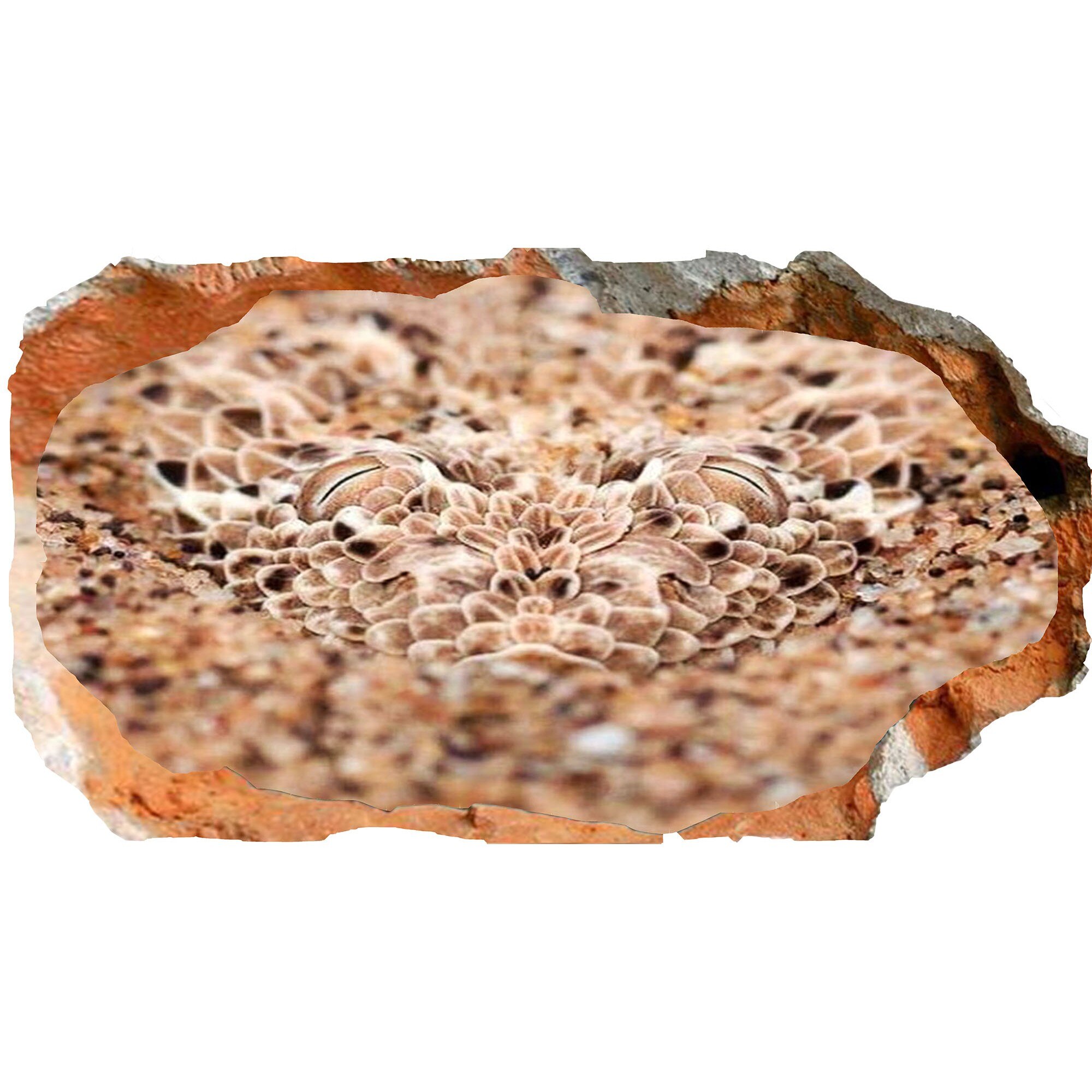 Fototapet 3D Startonight Atentie!, luminos in intuneric, 2.20 x 1.20 m