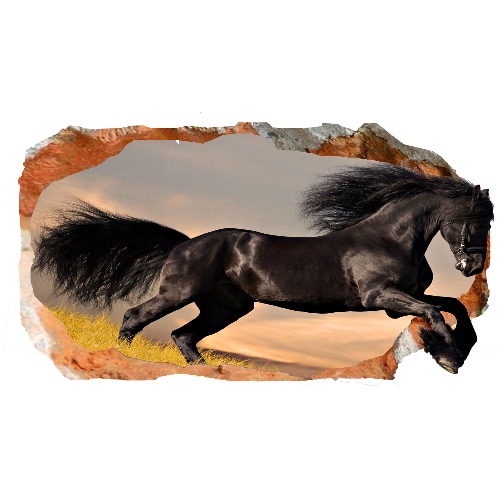 Fototapet 3D Startonight Cal negru, luminos in intuneric, 2.20 x 1.20 m