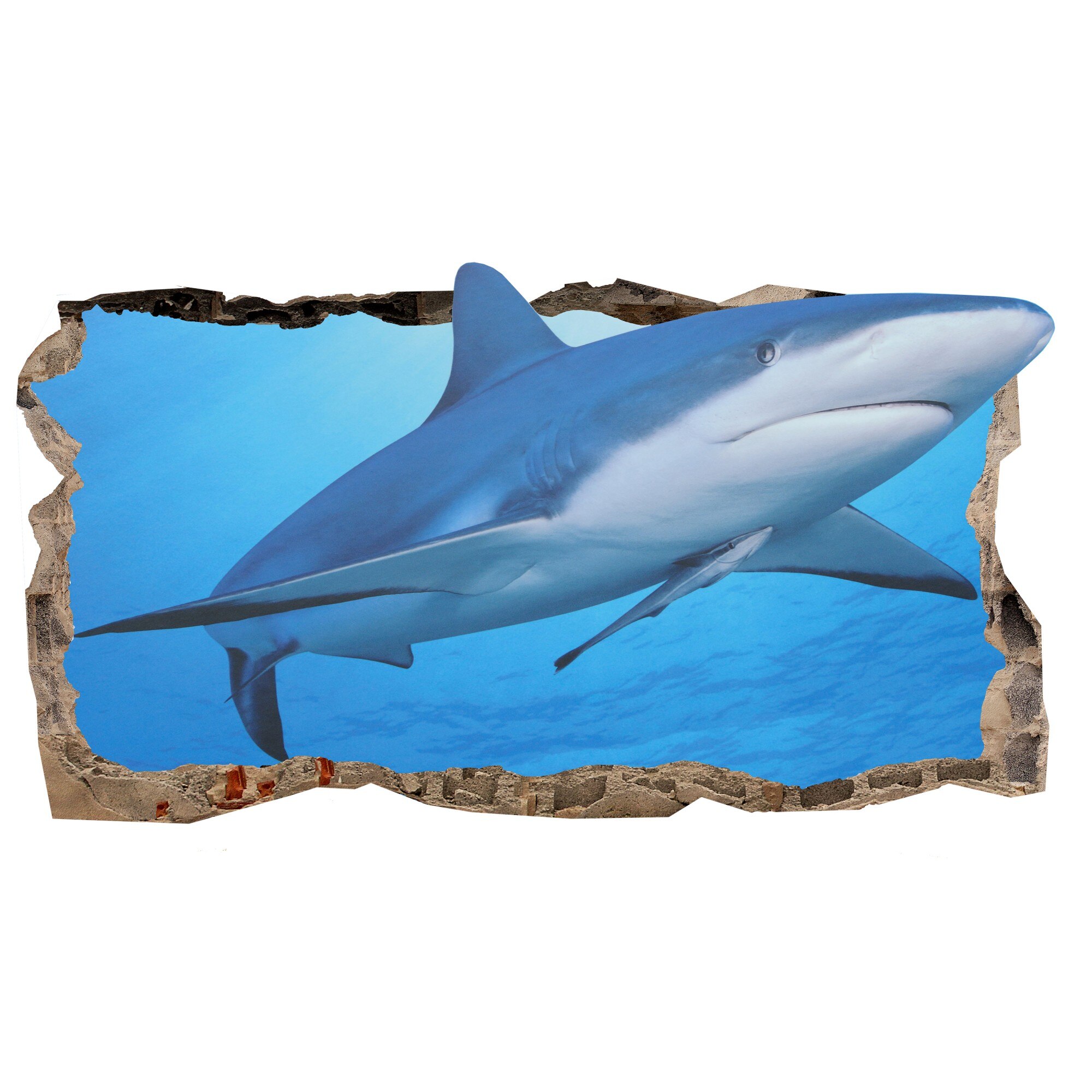 Fototapet 3D Startonight Un rechin prietenos, luminos in intuneric, 2.20 x 1.20 m