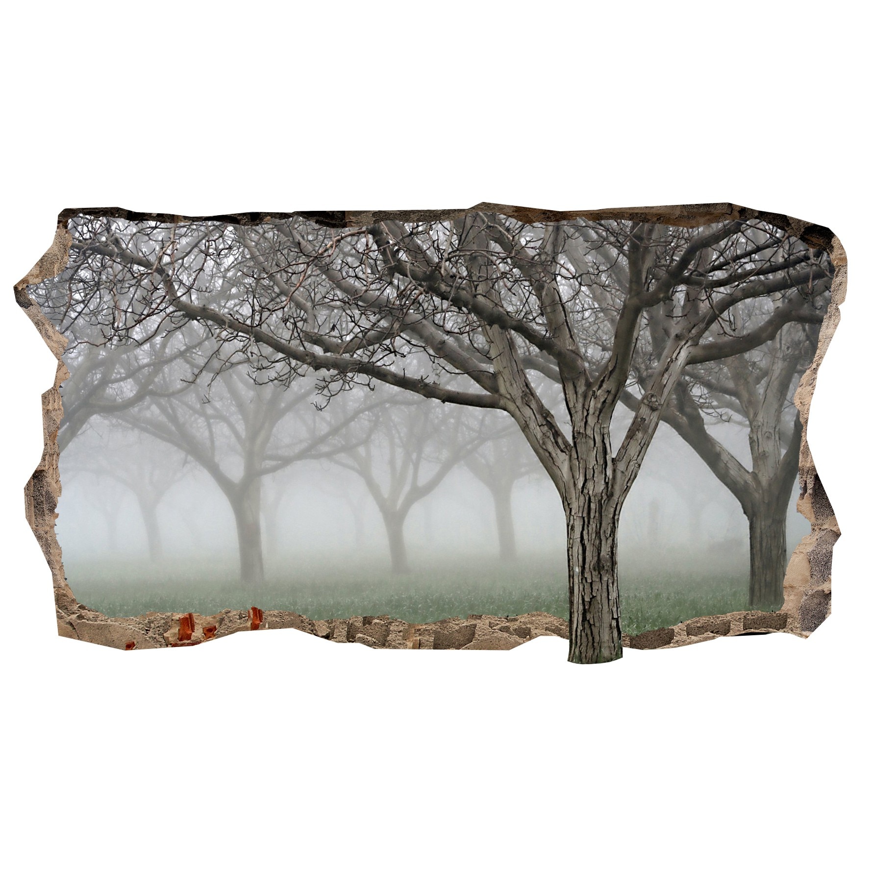 Fototapet 3D Startonight Copaci in ceata, luminos in intuneric, 2.20 x 1.20 m