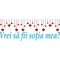 Cauți De Agenda Mea Nunta Alege Din Oferta Emag Ro
